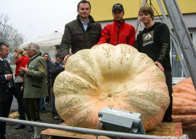 Riesenkürbis Staatsmeister 2010 395kg